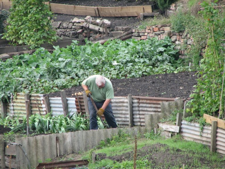 Bolovi u koljenu nakon vježbanja: kada posjetiti fizioterapeuta?